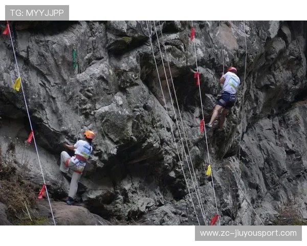 攀岩项目在不同岩壁质地下的摩擦力适应